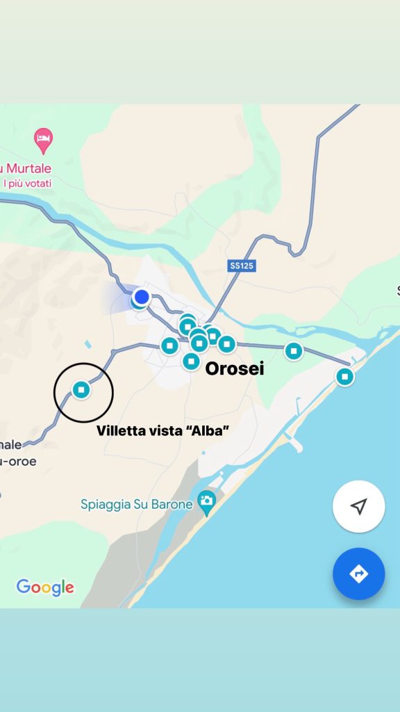 Su Google Maps